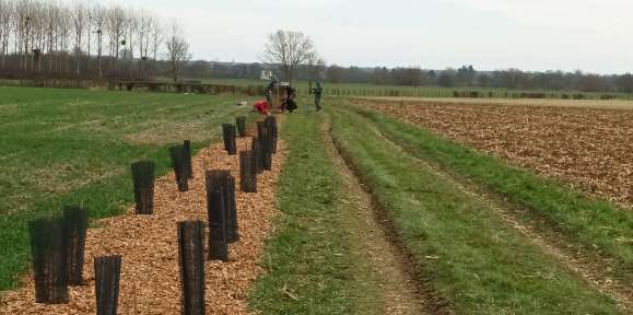 Plantation haie lycée horticole Tournus